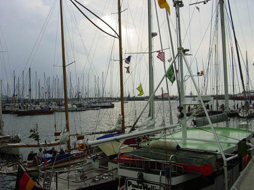 DSC02030