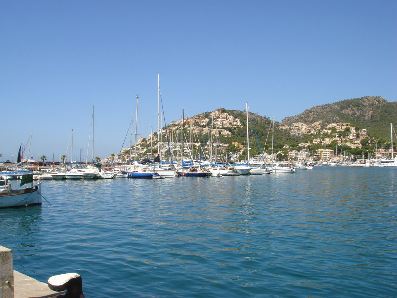 DSC00459