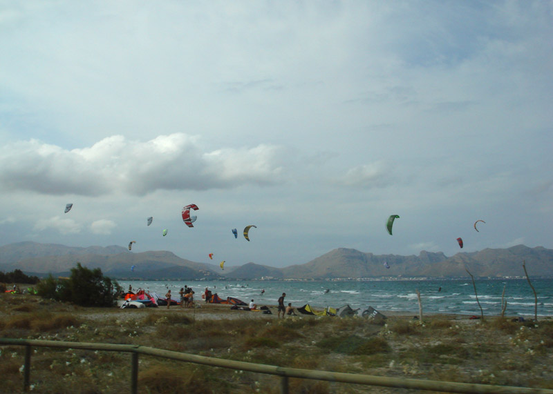 DSC00513