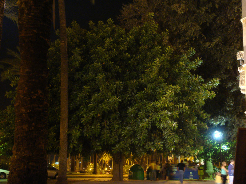 DSC00563