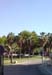 DSC00142